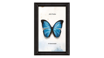 O Colecionador, John Fowles