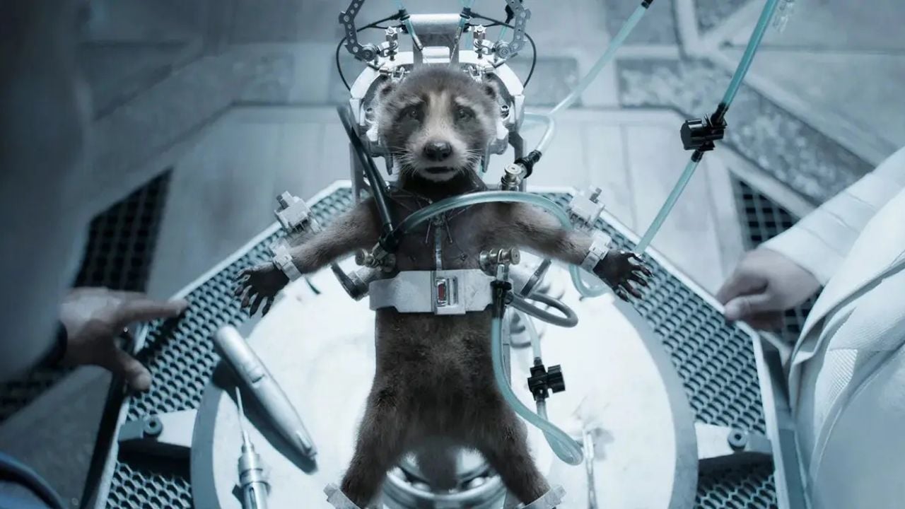 guardi-es-da-gal-xia-3-teoria-explica-por-que-rocket-era-o-nico-capaz