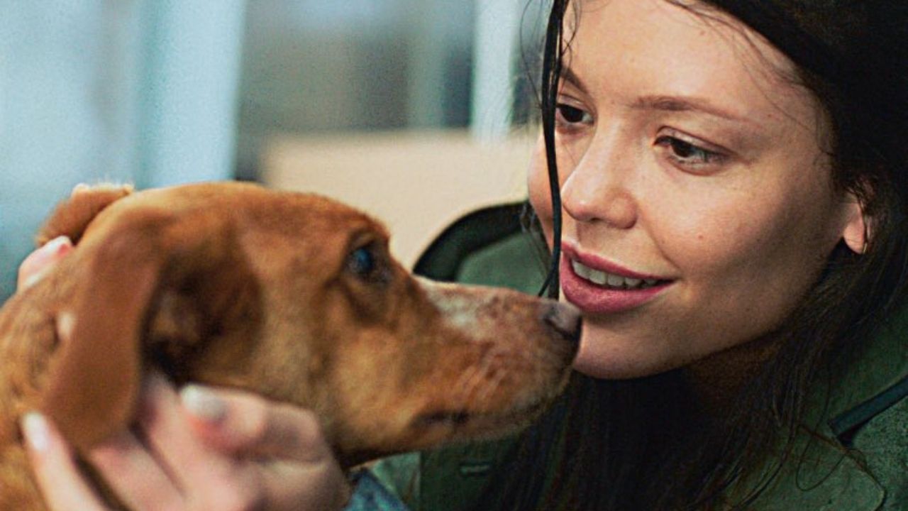 Tela Quente hoje (19/01): Em sua estreia, Caju, Meu Amigo retrata um pingo de ternura em meio a uma das maiores tragédias brasileiras - Notícias de cinema - AdoroCinema