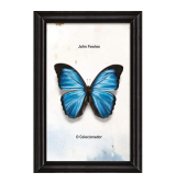 O Colecionador, John Fowles