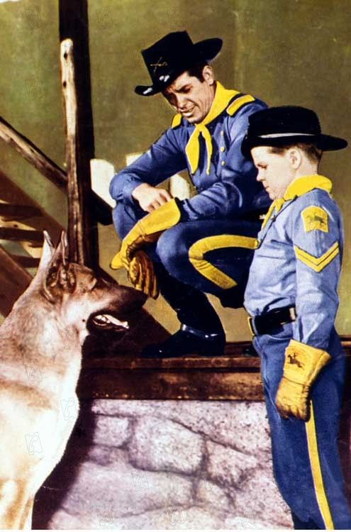 As Aventuras de Rin Tin Tin: As Aventuras de Rin Tin Tin : Foto - 1 no ...