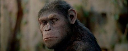 Diretor de Planeta dos Macacos - A Origem pode desistir de continuação