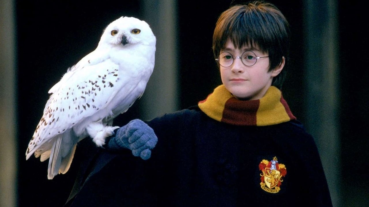 Harry Potter e a Pedra Filosofal (filme) – Wikipédia, a