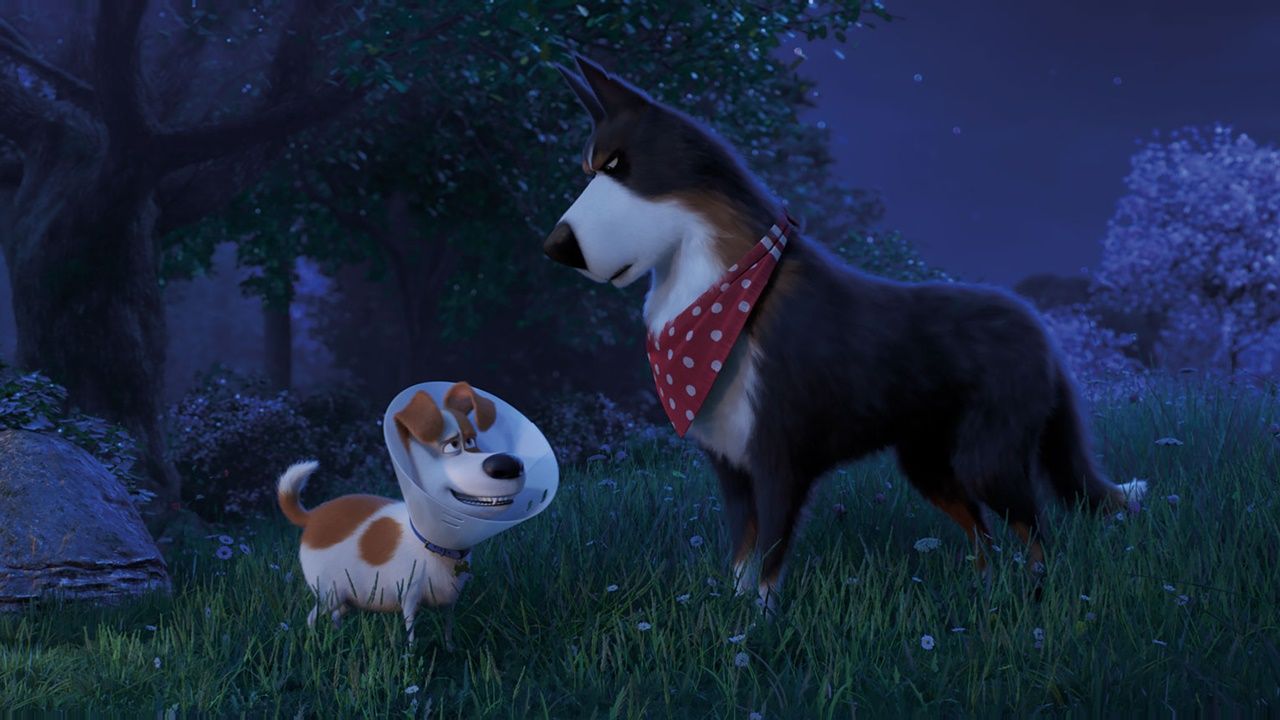 Pets A Vida Secreta Dos Bichos Ok ru Journeysany