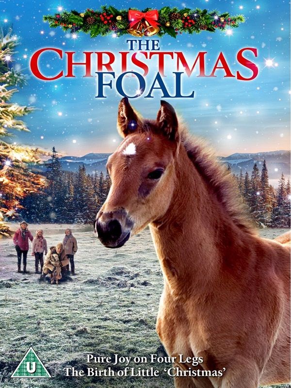 O Potro do Natal - Filme 2013 - AdoroCinema O Potro do Natal - Filme 2013 - AdoroCinema