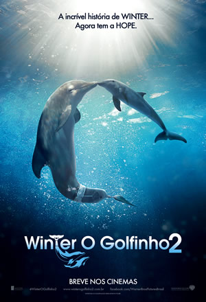 Winter, o Golfinho 2 - iFolha