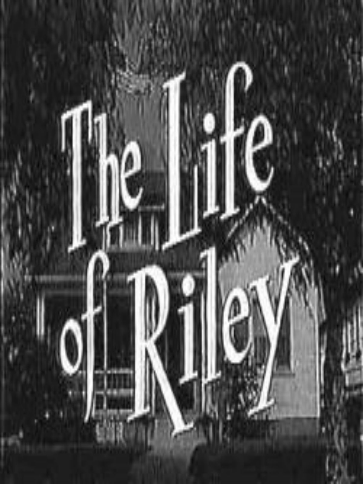 Life Of Riley Nyt Crossword - 22u1npj