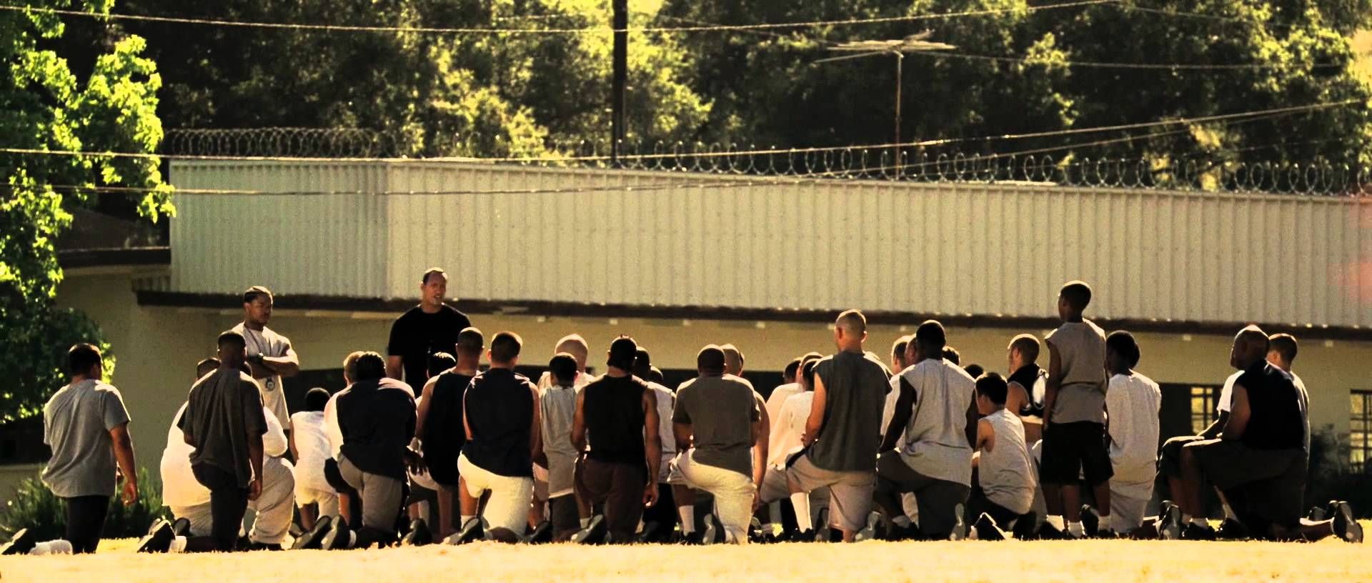 Foto do filme A Gangue está em Campo Foto 3 de 39 AdoroCinema