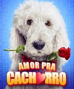 Amor Pra Cachorro - Filme 2014 - AdoroCinema