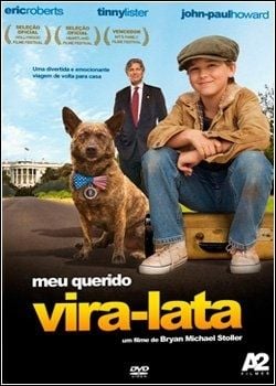 Meu vira lata Clearance