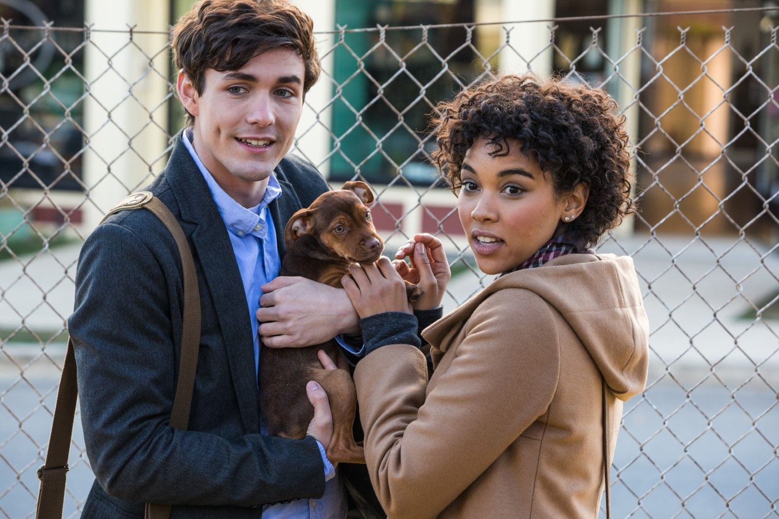 Foto de Jonah Hauer-King - A Caminho de Casa : Fotos Alexandra Shipp ...
