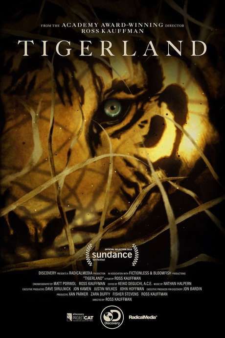 Tigerland - Documentário 2019 - AdoroCinema