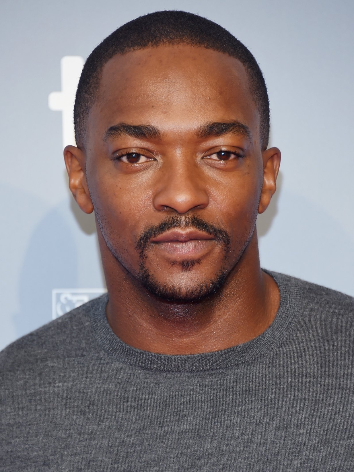 Anthony Mackie takeshi kovacs