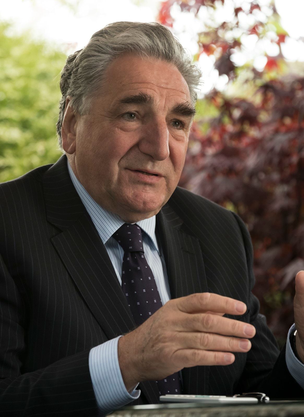 Foto de Jim Carter - A Grande Mentira : Fotos Jim Carter - Foto 8 de 63 ...