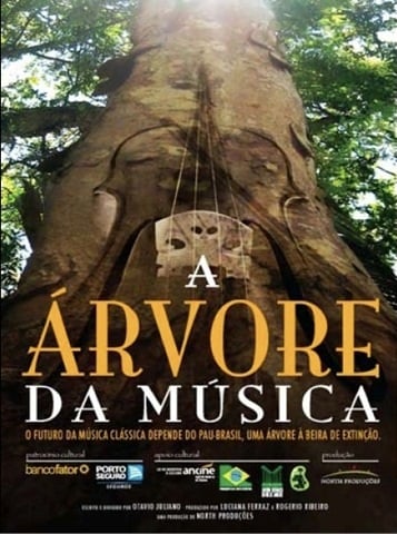 Árvore que inspirou música de Jogos Vorazes é vista em imagem dos  bastidores do novo filme