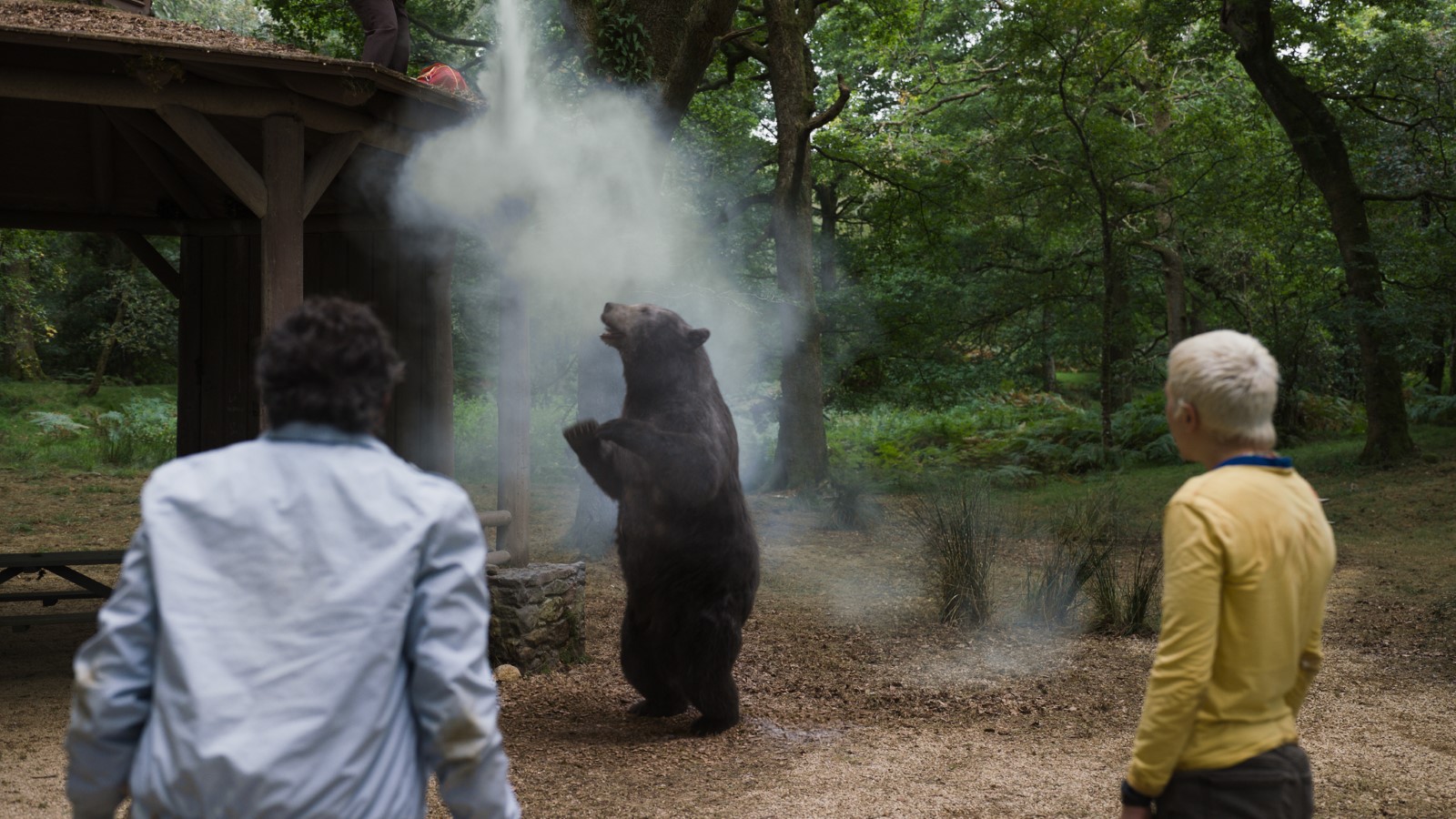 Urso do Pó Branco - Filme 2023 - AdoroCinema