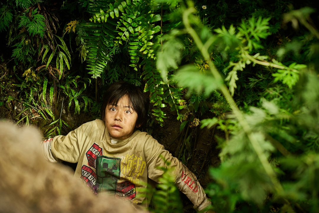 O Menino e o Panda : Fotos Noé Liu Martane