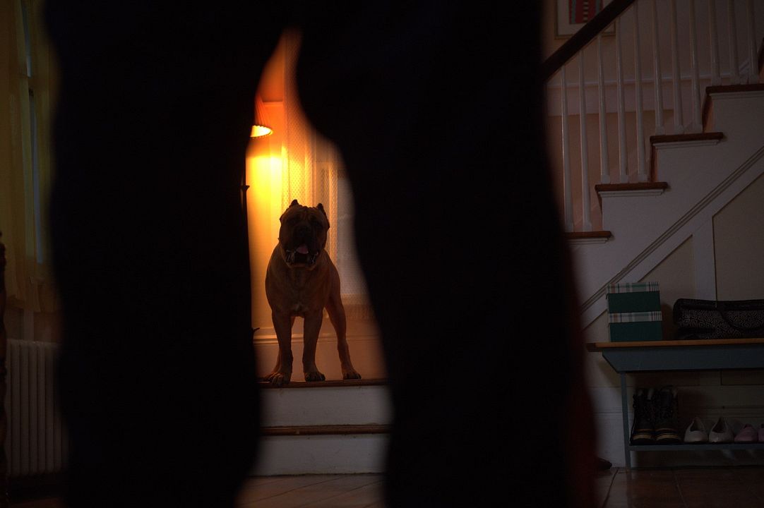 A Fúria De Becky : Fotos