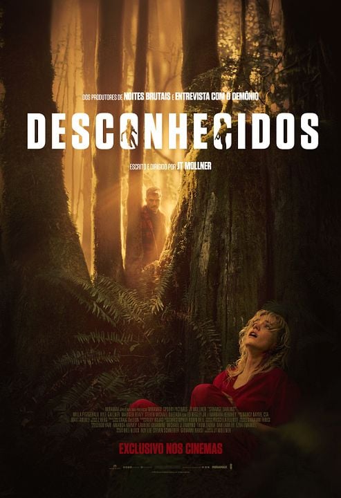 Desconhecidos : Poster