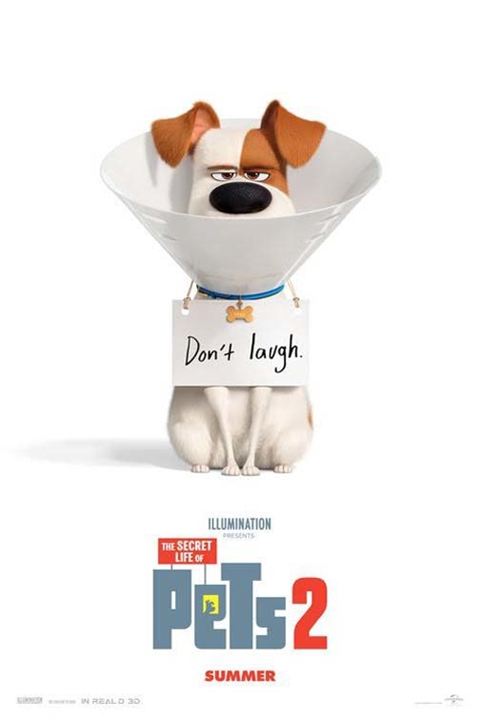 Pets - A Vida Secreta dos Bichos 2 : Poster