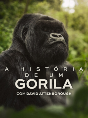 A História de um Gorila: Com David Attenborough : Poster