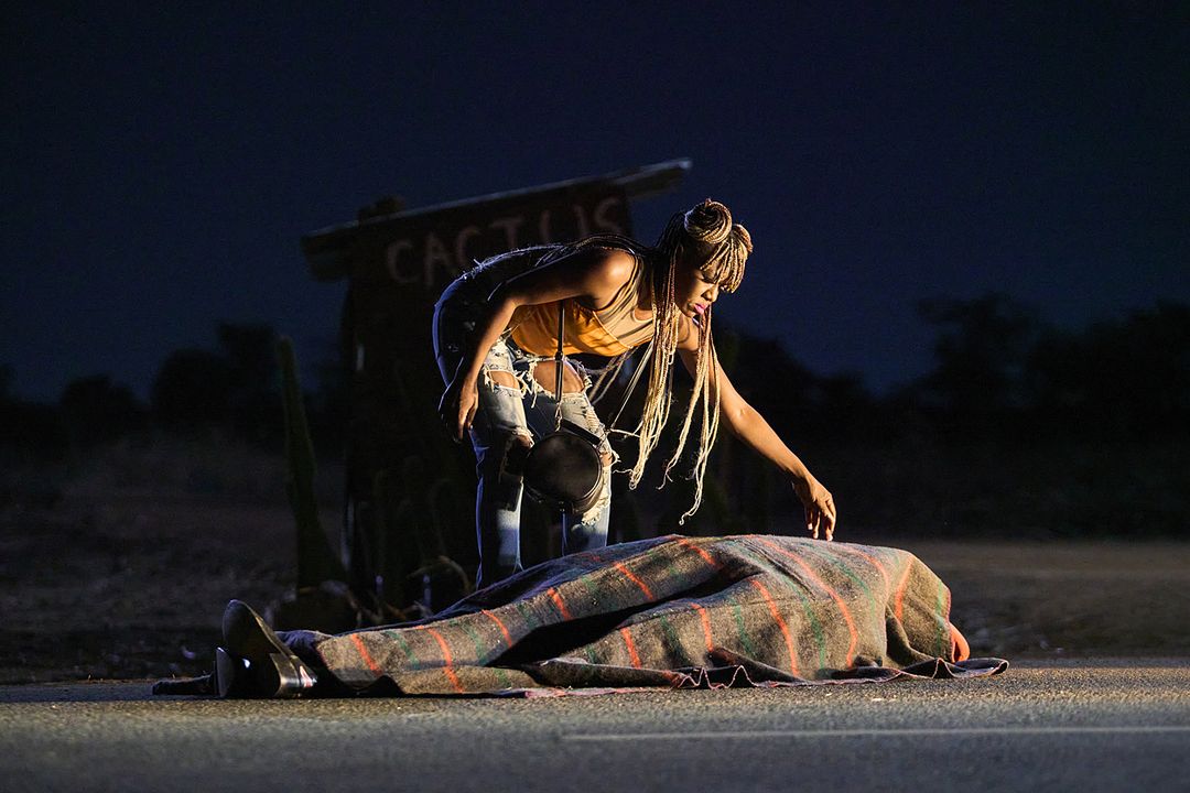 Sobre Tornar-se uma Galinha d'Angola : Fotos