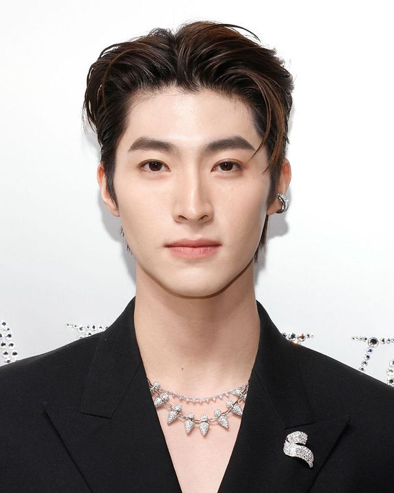 Poster Zhang Xincheng