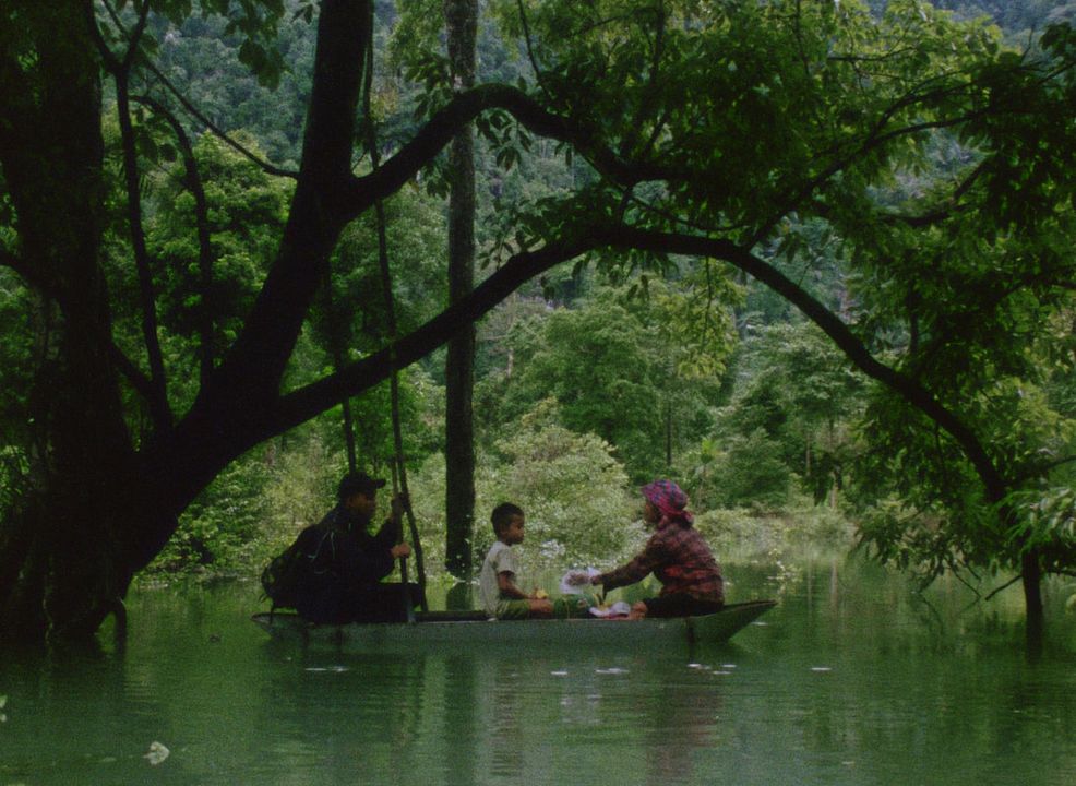 Cabelo, Papel, Água... : Fotos