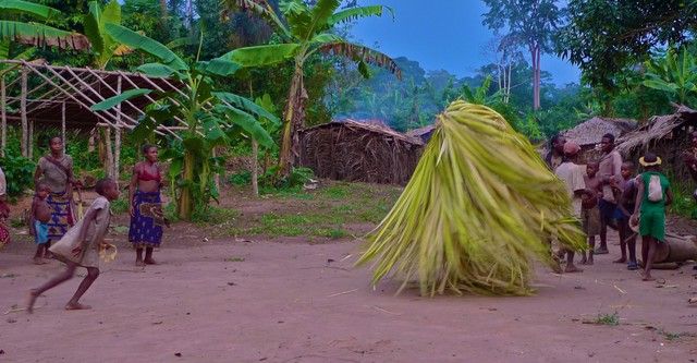 Floresta dos Espíritos Dançantes : Fotos