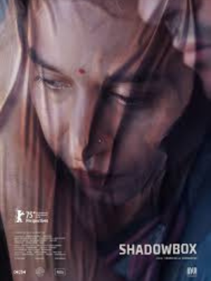 Caixa de Sombras : Poster