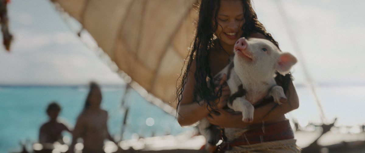 Moana : Fotos