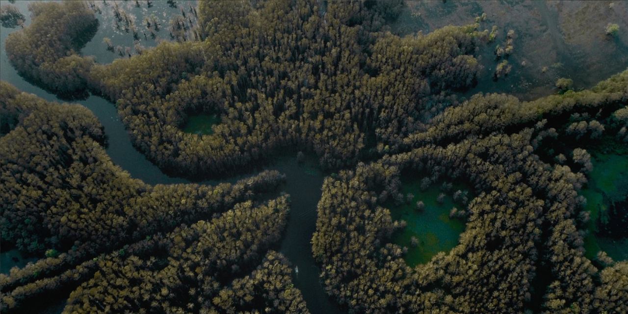 Os Horrores do Caddo Lake : Fotos