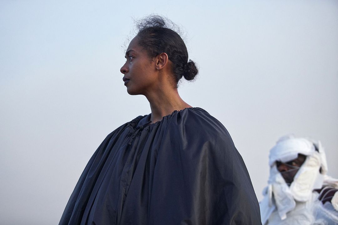 Sobre Tornar-se uma Galinha d'Angola : Fotos