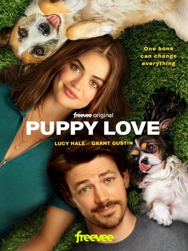 Puppy Love : Poster