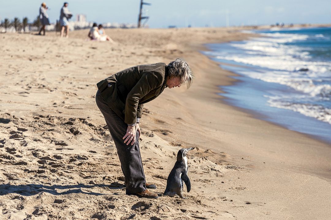 Lições de Liberdade : Fotos Steve Coogan
