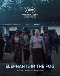 Elephants in the Fog  : Poster