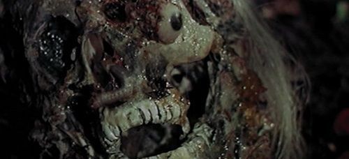 Fases da Morte 8 - O Último Mundo dos Canibais : Fotos