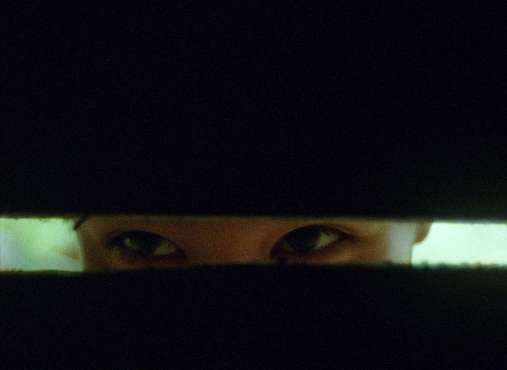 Cabelo, Papel, Água... : Fotos