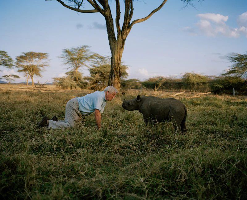 África : Fotos