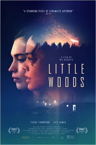 Little Woods : Poster