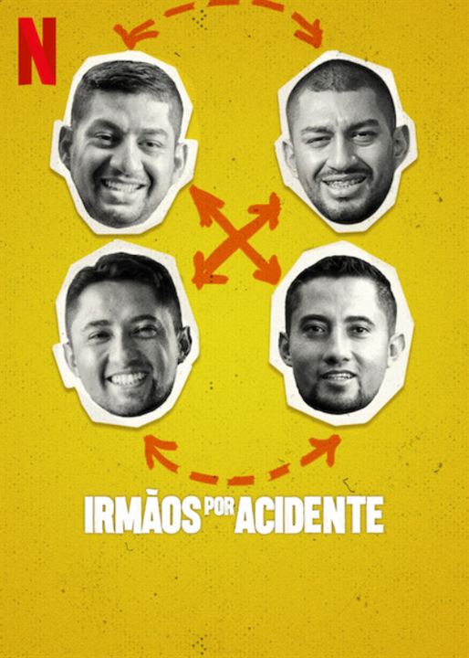 Irmãos por Acidente : Poster