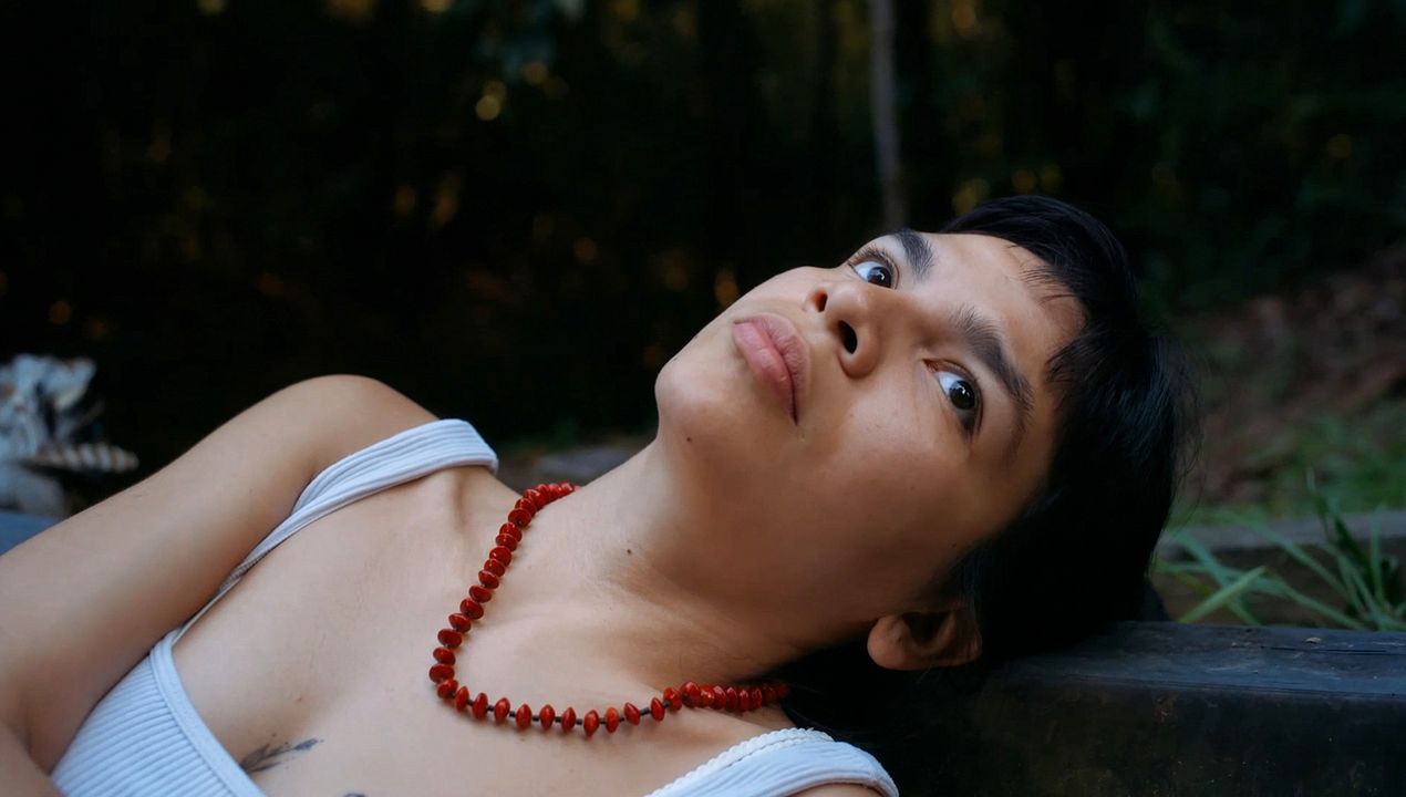 Minha Terra Estrangeira : Fotos