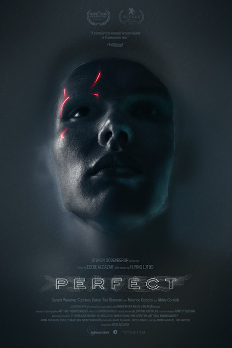 Perfect : Poster