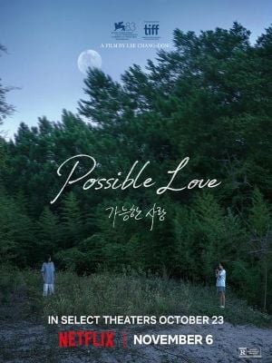 Amor Possível  : Poster
