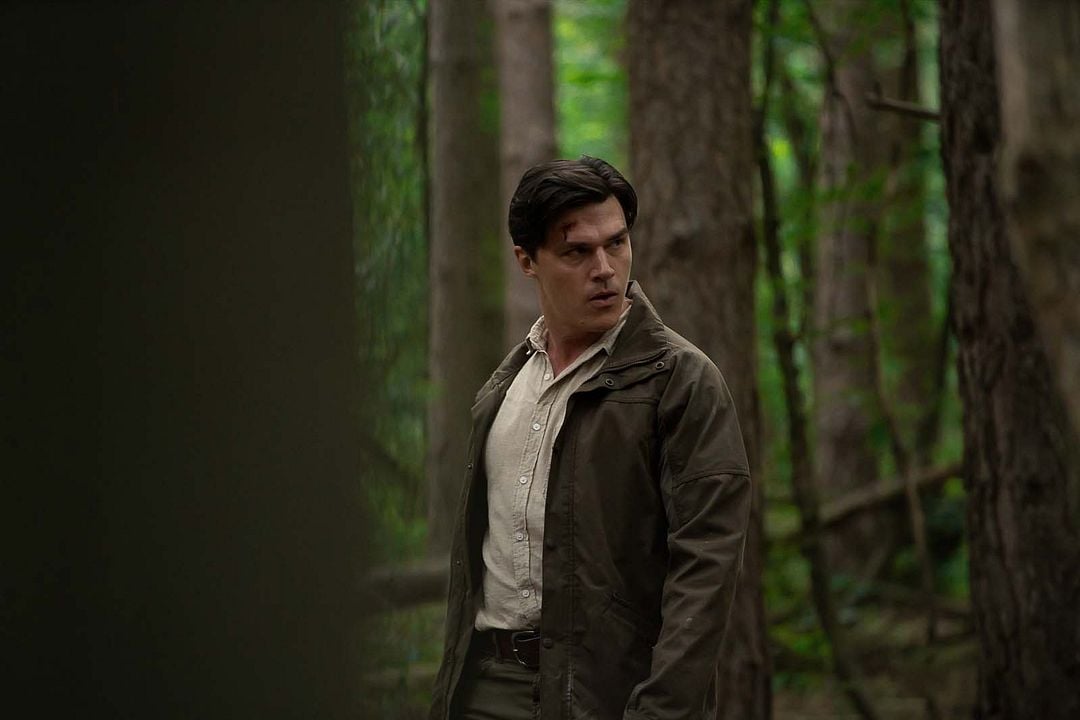 Não Se Mexa : Fotos Finn Wittrock