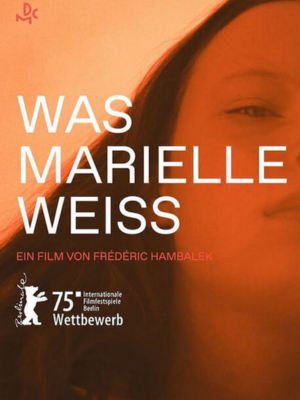 O Que Marielle Sabe : Poster