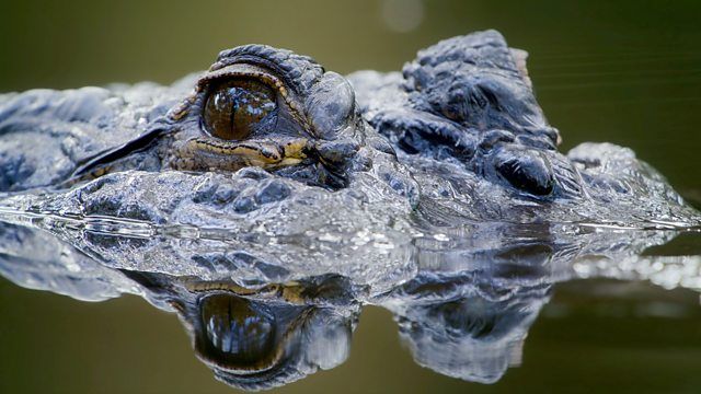 The Americas : Fotos