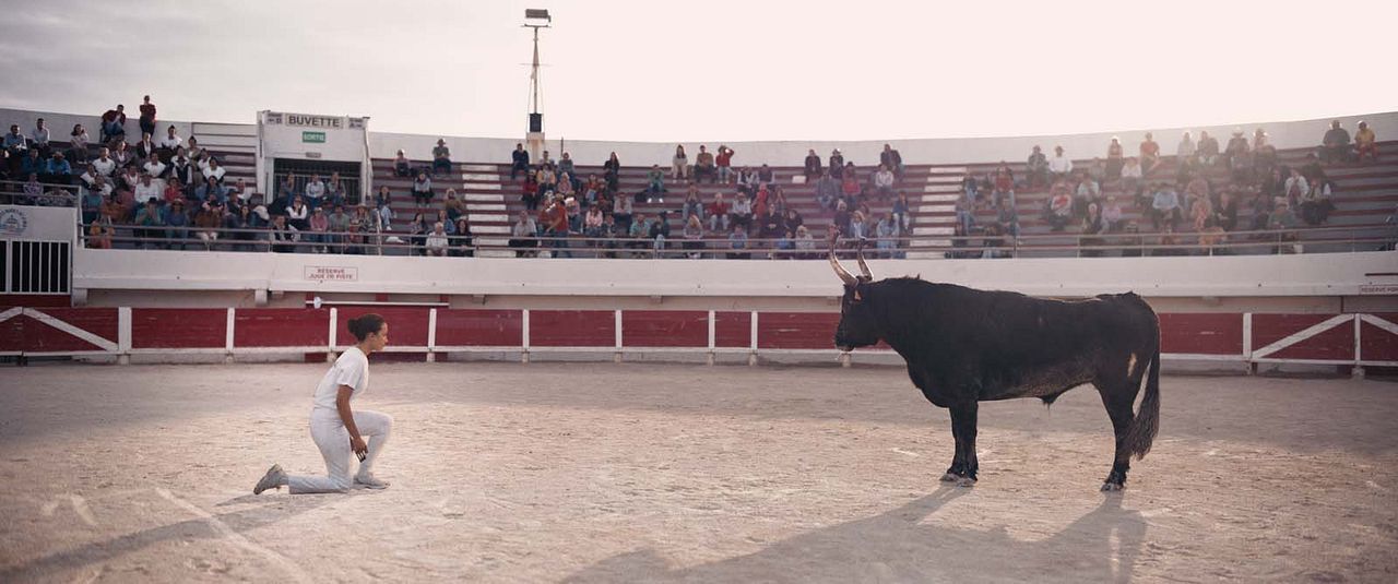 Animale : Fotos