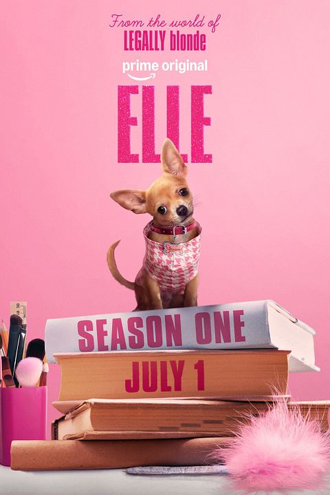 Elle: Legalmente Loira : Poster