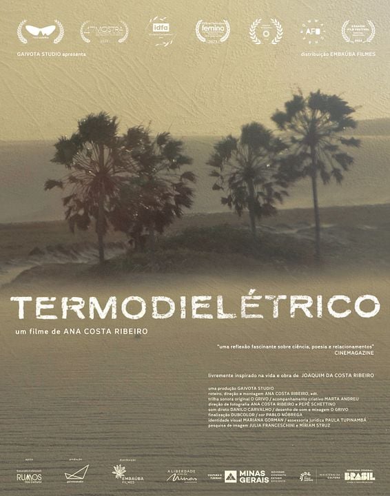 Termodielétrico : Poster